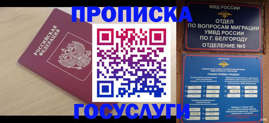 прописка законно в Талдоме